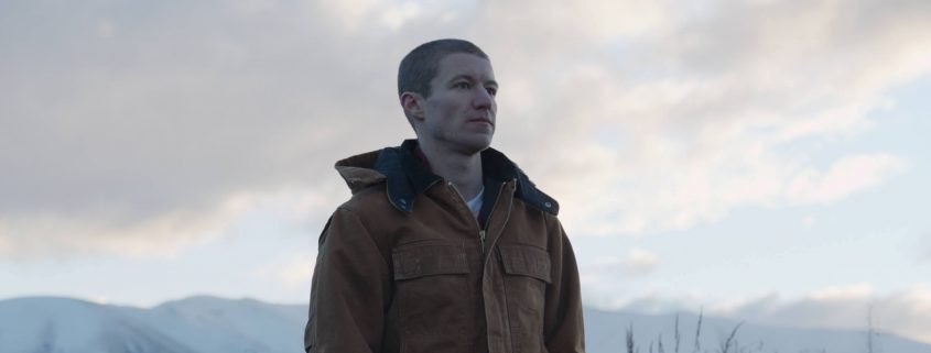 Stray film still