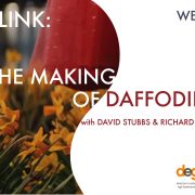 Screenlink: The Making of Daffodils