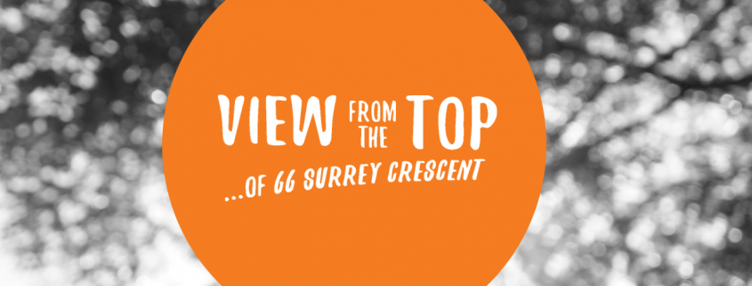 View from the Top banner